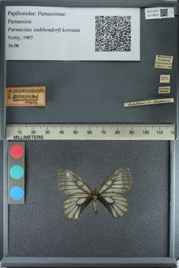 Media type: image;   Entomology 179974